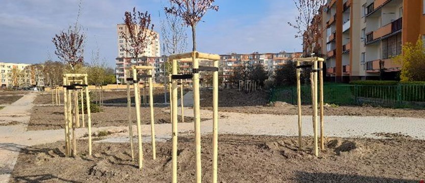 Nowy park w Szczecinie coraz bliżej