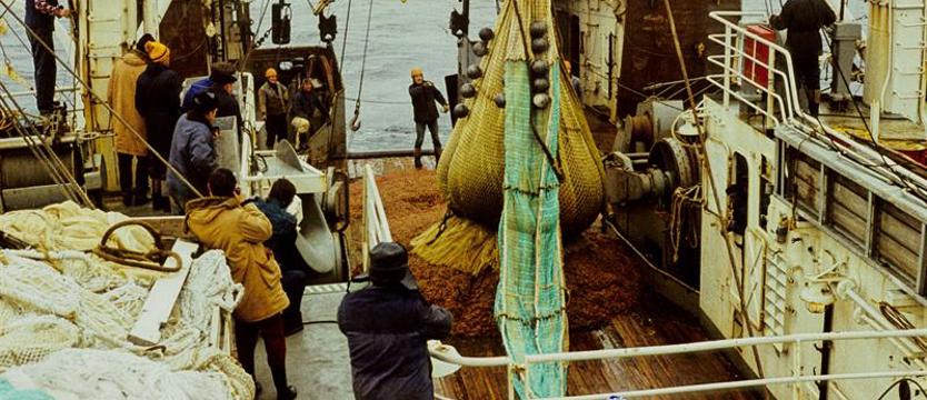 Historyczna wyprawa antarktyczna