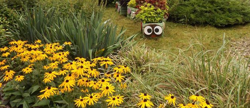 „Cały Szczecin w Kwiatach”. Czy skrzaty lubią kwiaty?