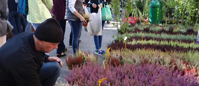 Wrześniowy weekend na „Pamiętajcie o ogrodach"