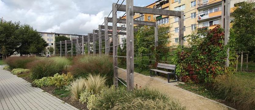 Czas na „Psie Pole". Miejsce dla pierwszej tężni solankowej w Szczecinie