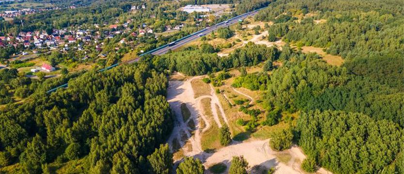 Koniec z rozjeżdżaniem Puszczy Bukowej. Zaostrzenie kar za dewastowanie quadami lasów?