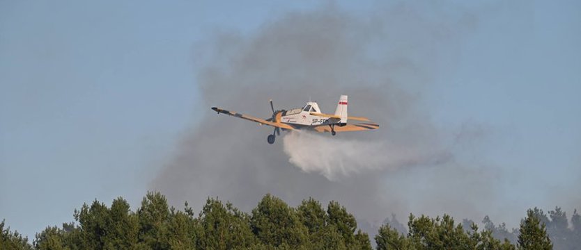 Samoloty, strażacy i leśnicy ratowali las przed pożarem