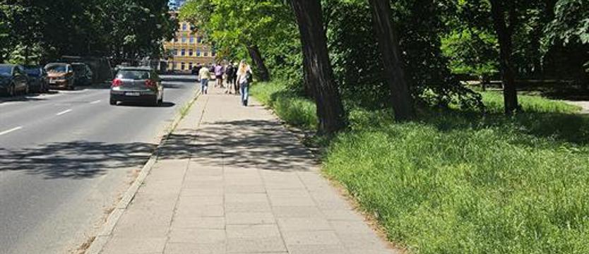 Będą miejsca postojowe na ul. Starkiewicza. Miasto szuka wykonawcy