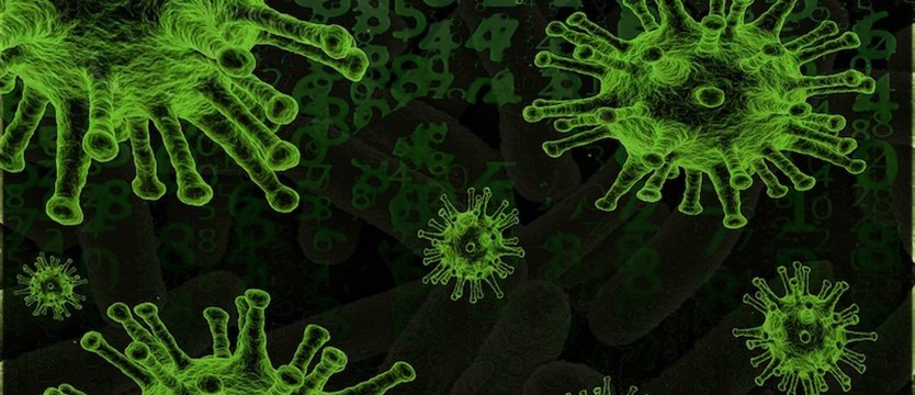 Ponad 4,5 tysiąca zakażeń wirusem SARS-CoV-2 w kraju. Zmarły 264 osoby