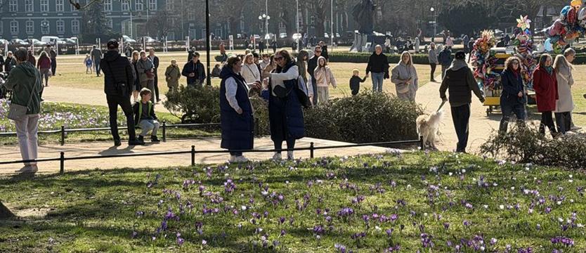 Wiosna na Jasnych Błoniach