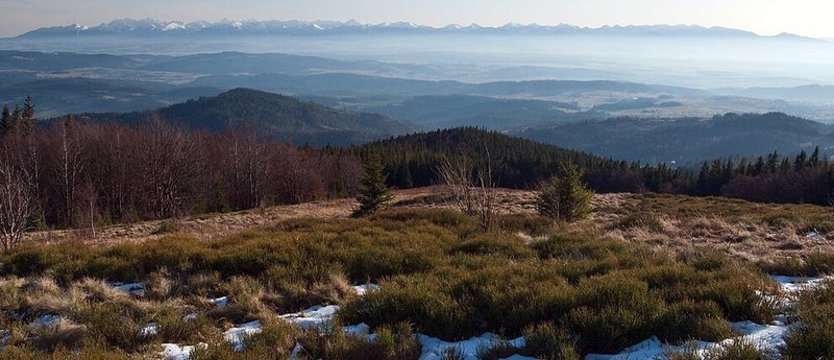Akcja Muzeum Tatrzańskiego i wykładowcy Akademi Sztuki w Szczecinie. Baner zasłonił góry