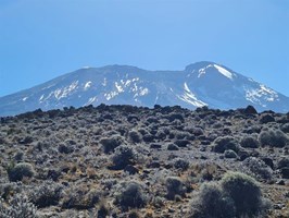 Kilimandżaro, antylopa z grilla i pieczona koza