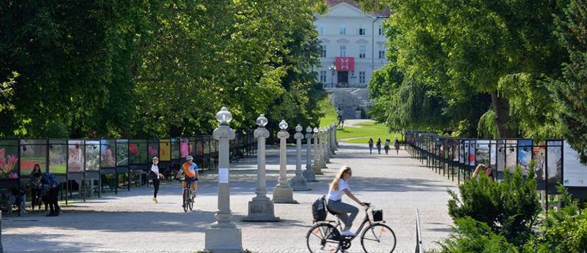 Miasto z podpisem artysty