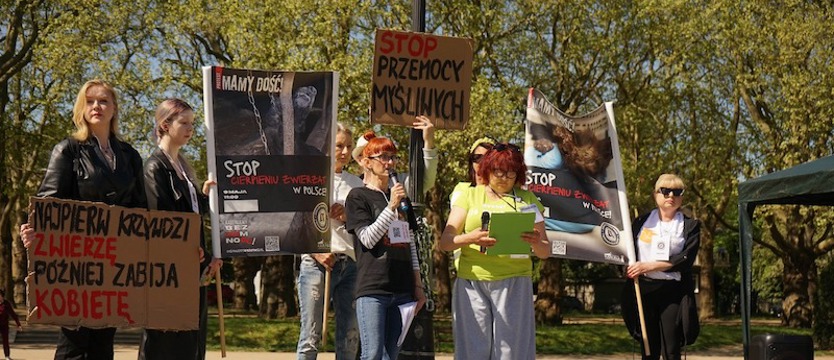 Protestowali w obronie zwierząt