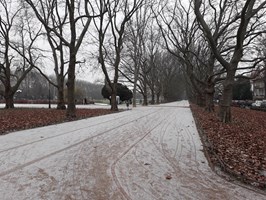 Pierwszy śnieg w Szczecinie i regionie