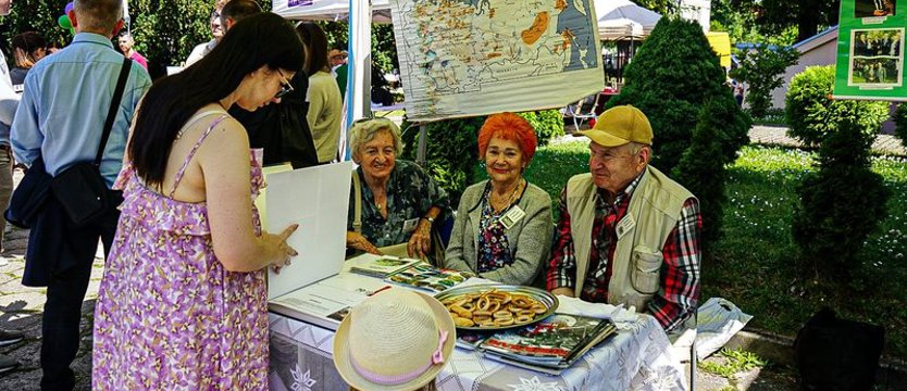 To był prawdziwy Piknik Pasji. Występy, pokazy, zabawy i animacje