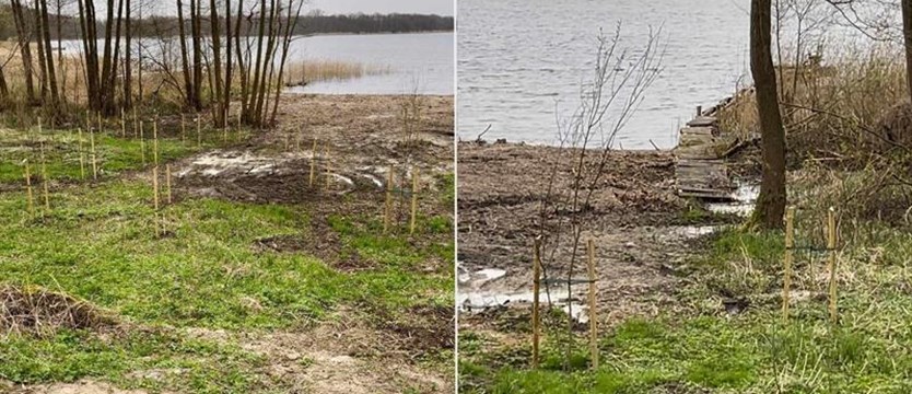 Zniszczony teren przy jeziorze Woświn. Sprawcy naprawili szkody