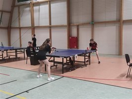 Tenis stołowy. II Wojewódzki Turniej Kwalifikacyjny Juniorów