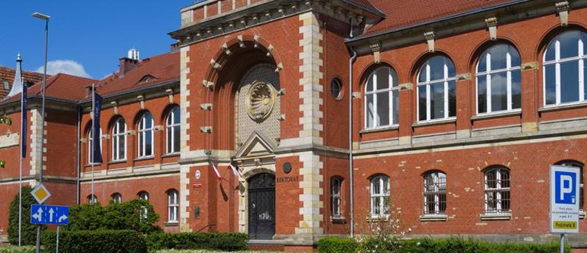 Studia: masowe czy elitarne?