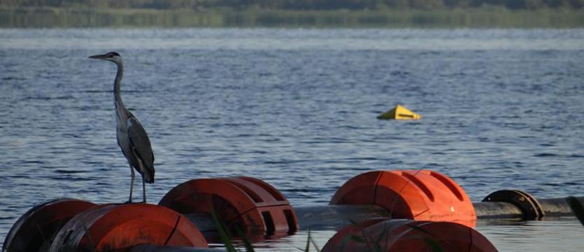 Spacer przyrodniczy z Michałem Książkiem