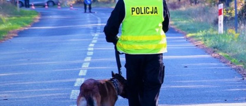 Policja: dotychczas odnaleziono siedem balonów, które wleciały nad Polskę z Białorusi