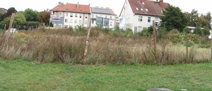 Zaniedbany teren zyska nowe życie