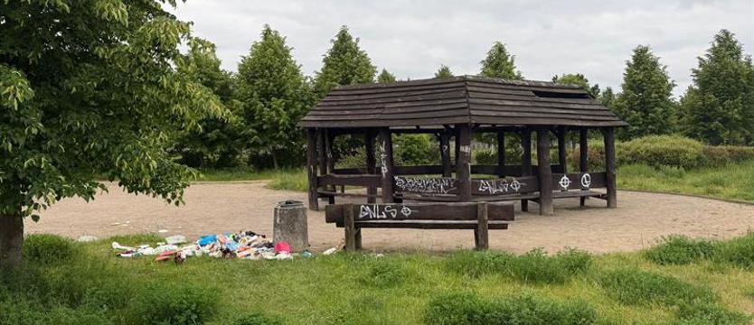 Jaka dbałość o wspólny park? Kultura za sprawą „wielkiego brata"