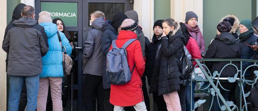 Kolejki po PESEL w Szczecinie nie maleją