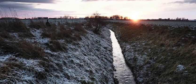 Ostrzegają przed silnym mrozem w regionie. Nawet do -20 st. C