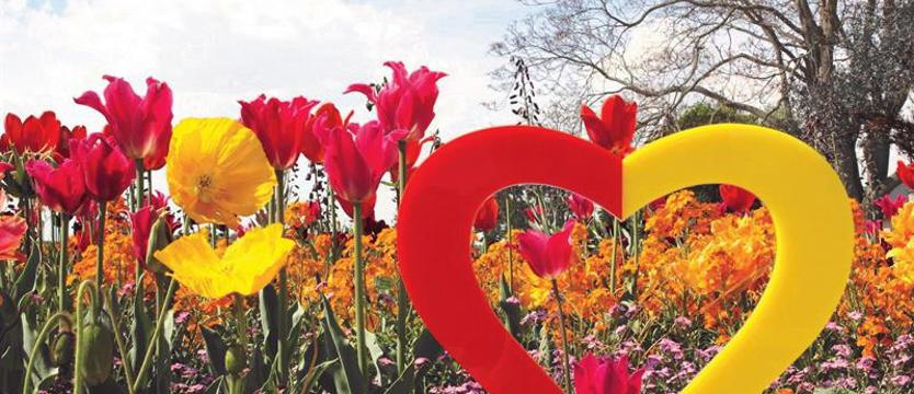 Dzień Jedności Niemiec