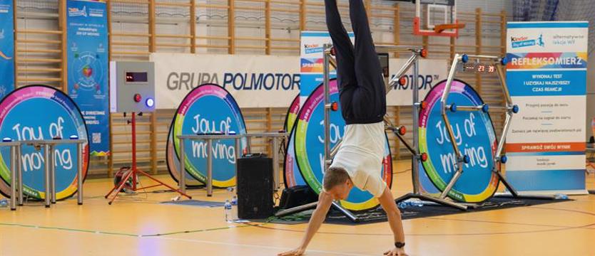 Lisek w klatce i ninja