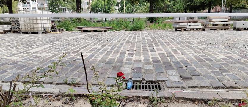 Czerwone róże z placu Starego Miasta. Jak to mogło się stać?