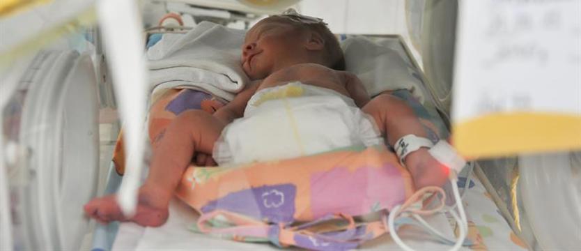 Dzień Wcześniaka szpitala na Pomorzanach. Zabawa w Netto Arenie