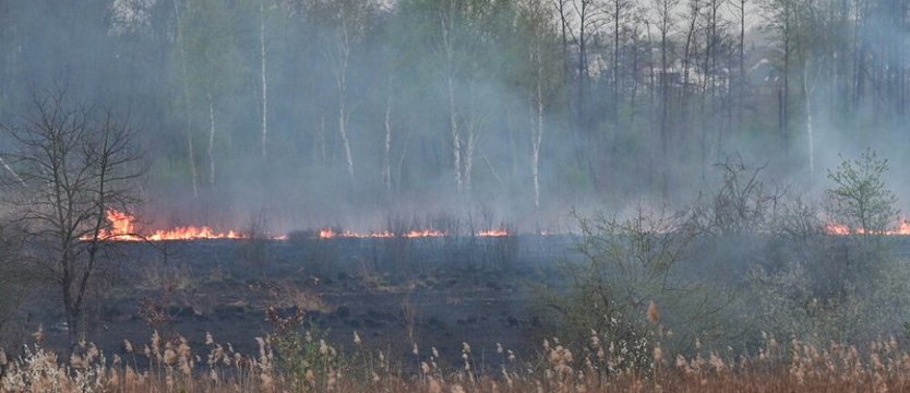 W sobotę ponad tysiąc pożarów traw w całym kraju. Dwie osoby ranne