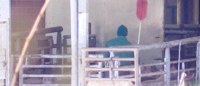 Nie wszystkie zwierzęta są równe? To nie koniec procesu