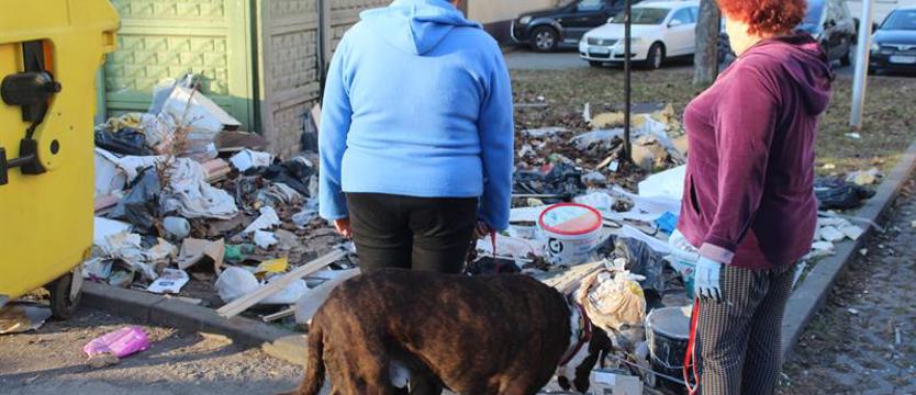 Osiedle, które od lat tonie w śmieciach. Segregacja odpadów w naszych rękach
