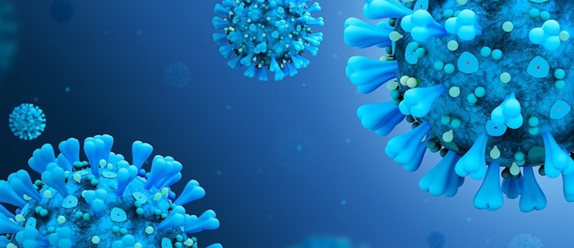 W poniedziałek w kraju ponad 14,5 tysięca nowych zakażeń wirusem SARS-CoV-2. Zmarło 65 osób