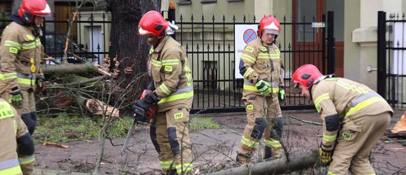 76 interwencji strażaków przy usuwaniu wiatrołomów w regionie