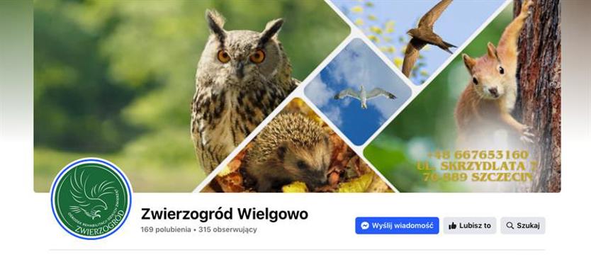 Ktoś zhakował konto Zwierzogrodu na Facebooku. „Niech żaden gołąb nie oszczędza!"
