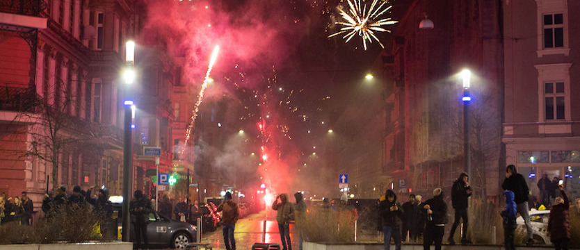 Ptaki nawet przez 10 dni odczuwają stres po sylwestrowych fajerwerkach