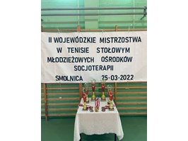 Tenis stołowy. Marcin Woskowicz w ćwierćfinale gry mieszanej