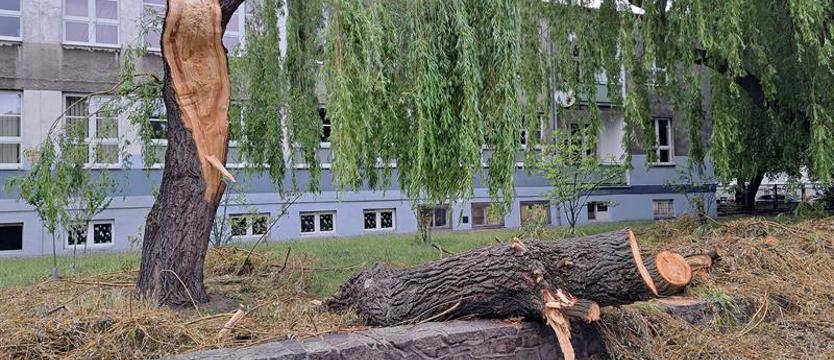 W piątek silny wiatr wieje w całym regionie