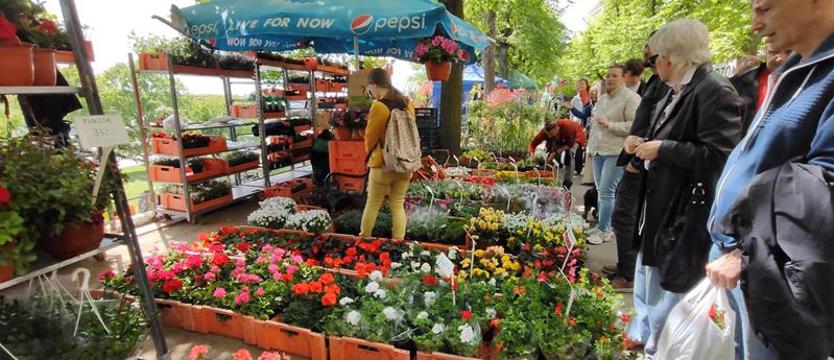 W ogrodzie Wałów Chrobrego: kwiaty, smaki i ludzie