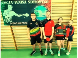 Masa Tenisi: Şampiyon Polisin Yenilgisi