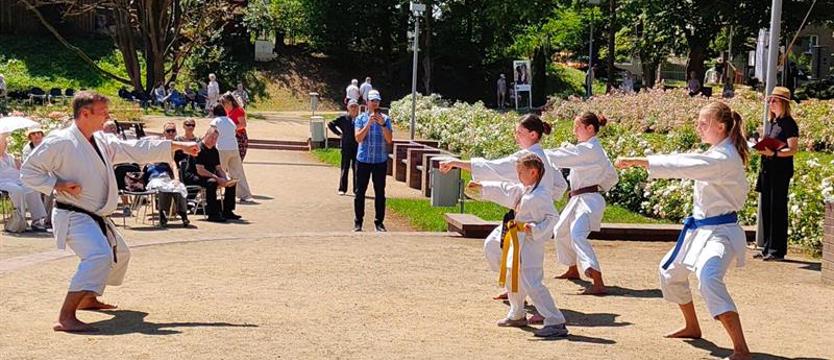 Karate Liryczne na Różance