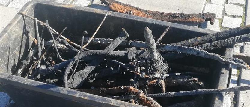 Poławiacze złomu na magnes. Na szczecińskich bulwarach