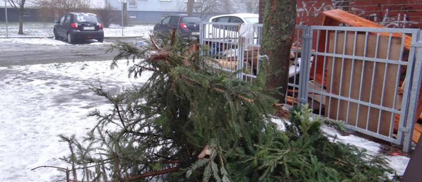 Choinki do śmietnika lub na kompost