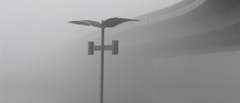 Ostrzeżenie meteorologiczne. Uwaga na gęste mgły w Zachodniopomorskiem