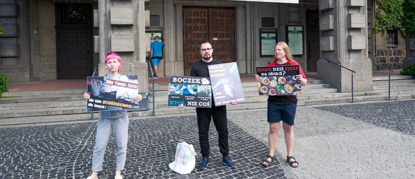 Protestowali na ulicach Szczecina. W obronie zwierząt