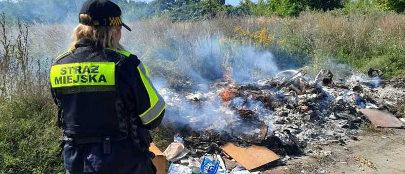 Mandaty za jesienne "porządki" w okolicy ul. Rymarskiej