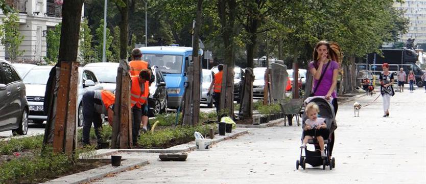 Róże dla alei. Sadzenie krzewów też przy martwych drzewach