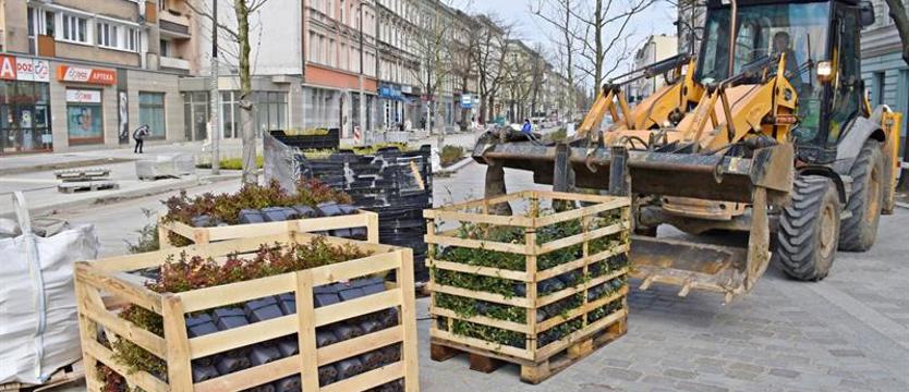 Więcej zieleni w alei Wojska Polskiego