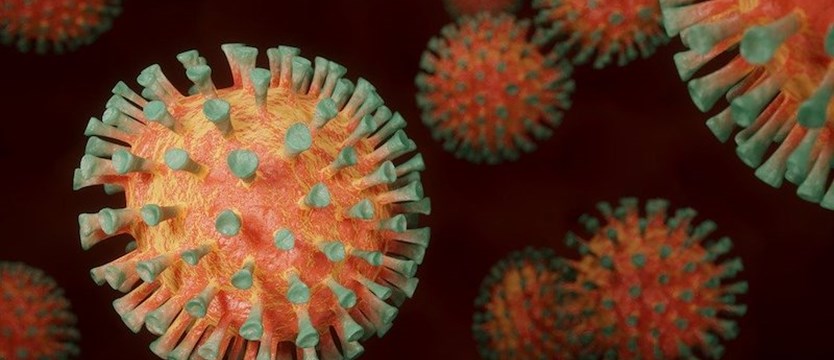 Ponad 1200 nowych zakażeń koronawirusem w kraju. W Zachodniopomorskiem 45 przypadków