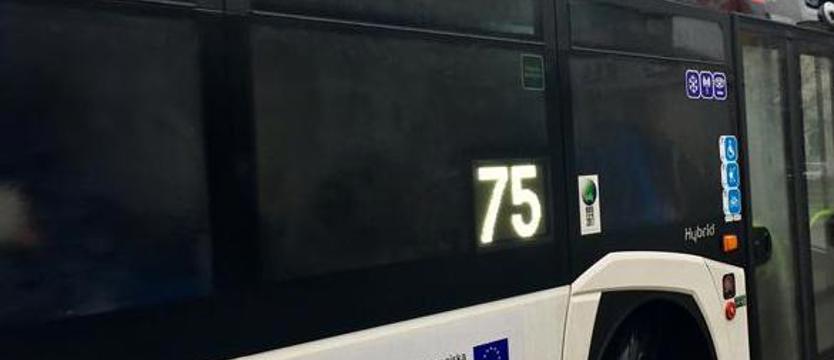 Zderzenie z autobusem